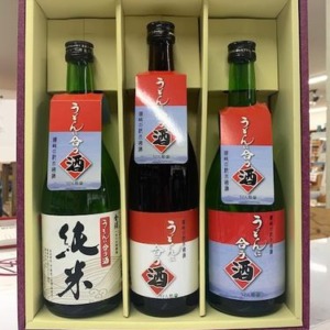 udon-sake-set